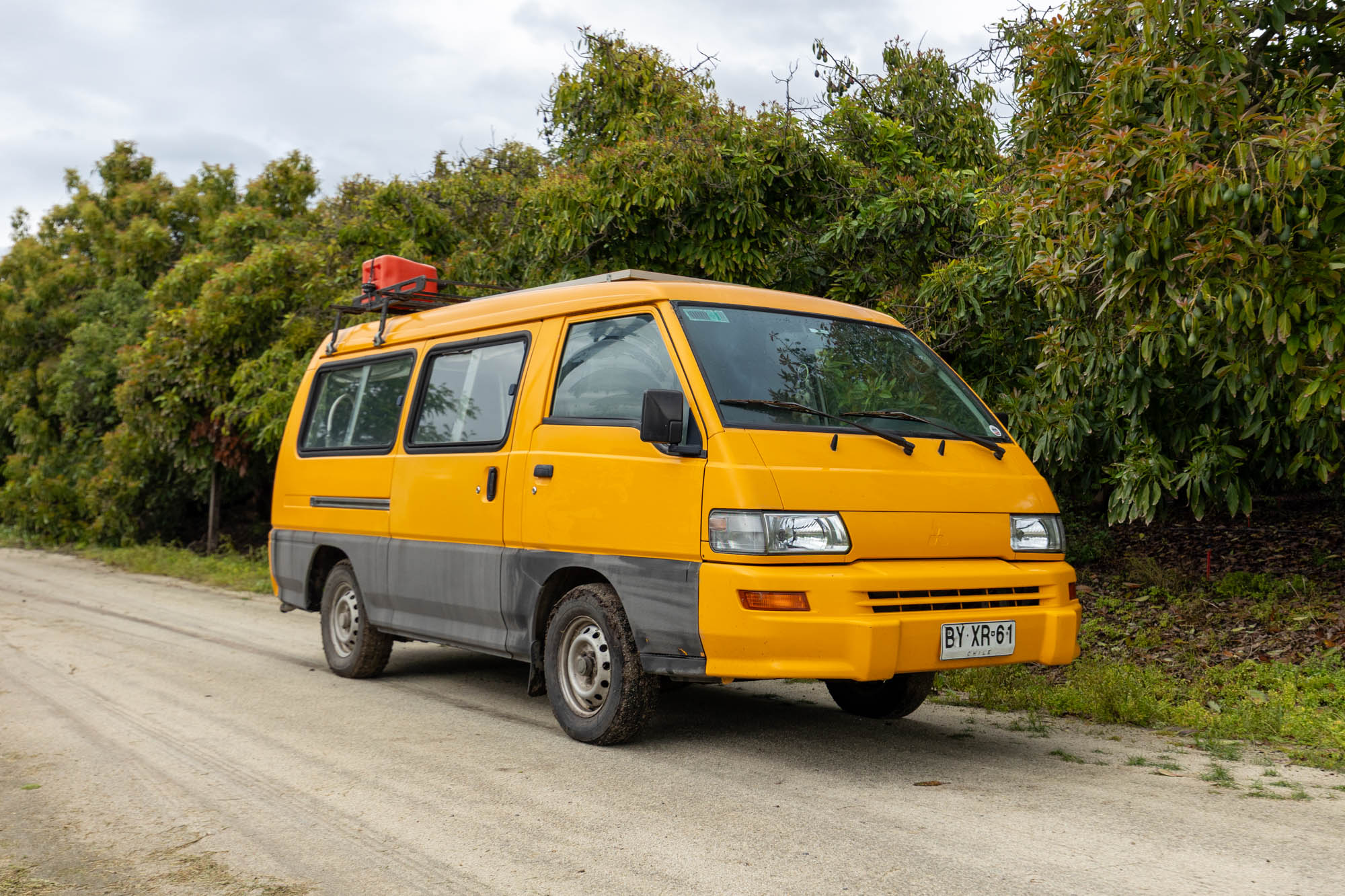 2009 MITSUBISHI L300